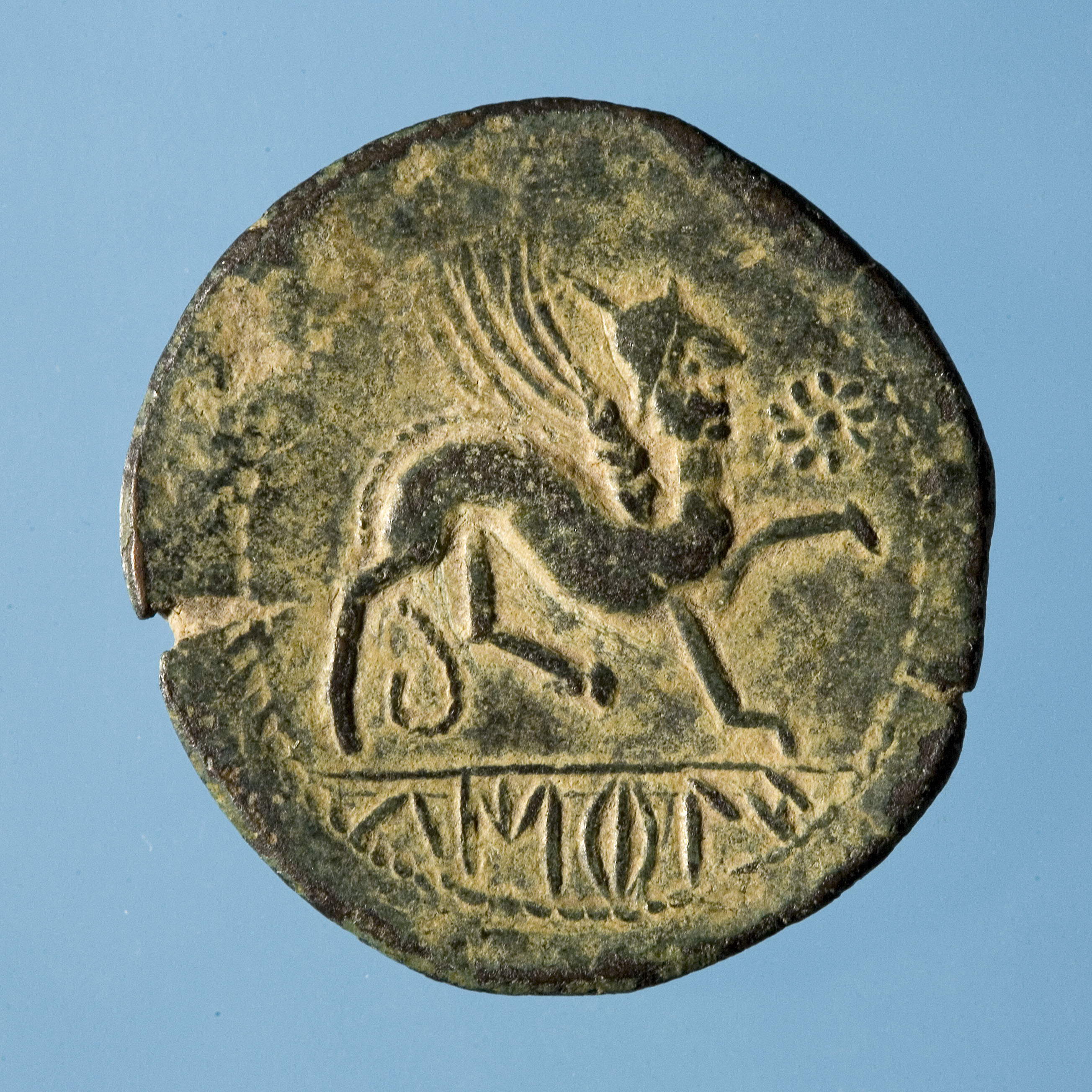 historia-de-roma-els-ibers